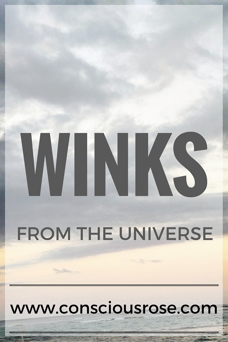 Winks From the Universe ConsciousRose